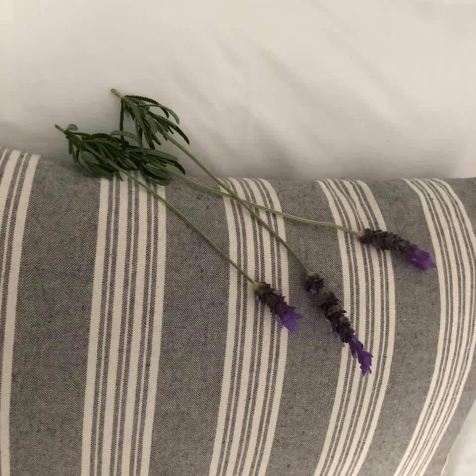 Kleinmond Lodge 외부 사진